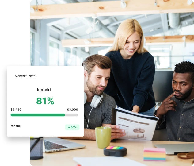 Programvareutviklingseksperter